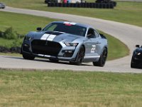 22 Light Gray GT500