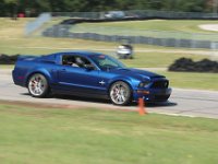 Blue Shelby Super Snake