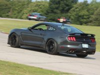 20 Dark Gray GT350 Blk Stripes