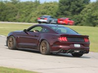 52 Purple Roush