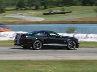 Blk Shelby GTSC Silver Stripes