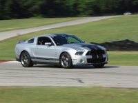 Silver GT500 Blk Stripes