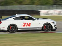 314 White Mustang