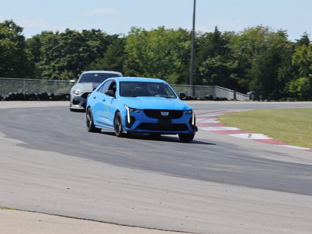 15 Blu Caddie