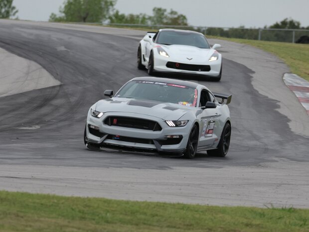 10 White Vette