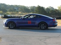 16 Blue Mustang