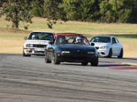 IMG 7019