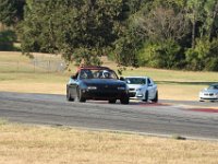IMG 7169