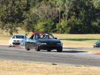IMG 7172