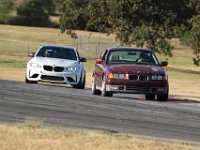 IMG 7184