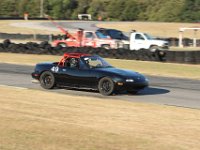 IMG 7079