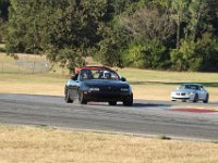 IMG 7170
