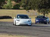 IMG 7196