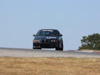 IMG 6590