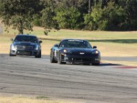 IMG 7195