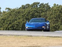IMG 6598