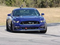 IMG 7977