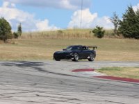 IMG 7981