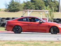 IMG 7681