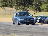 IMG 7494