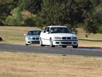 IMG 7454