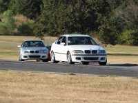 IMG 7455