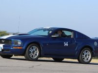 14 Blue Mustang