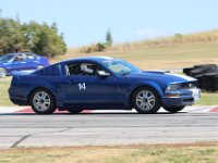 IMG 7686