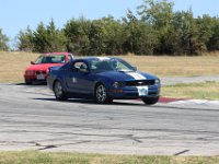 IMG 7737