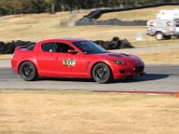 IMG 7446