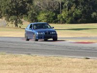 IMG 7491