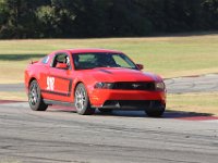 IMG 7334