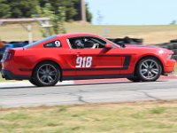 IMG 7698