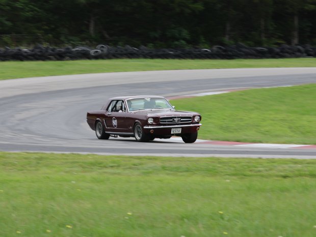 841 Maroon