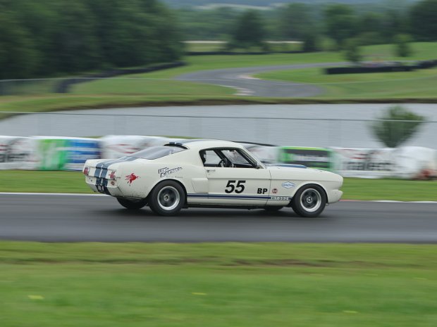 55 White