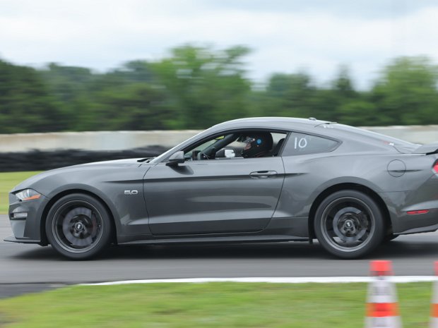 10 Gray 5.0
