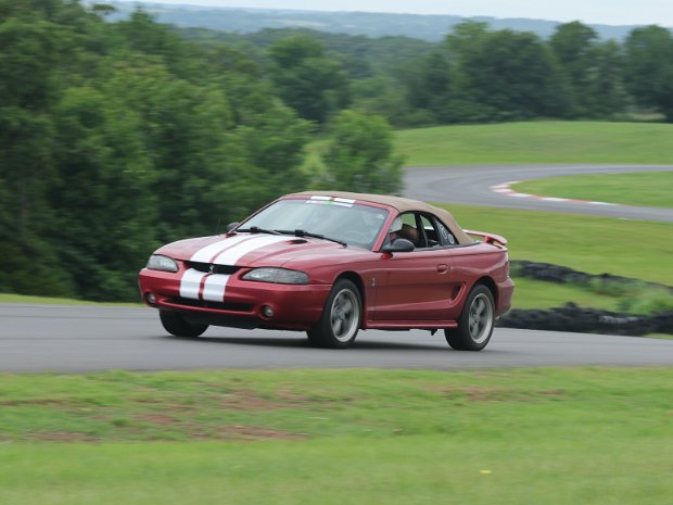 8 Maroon