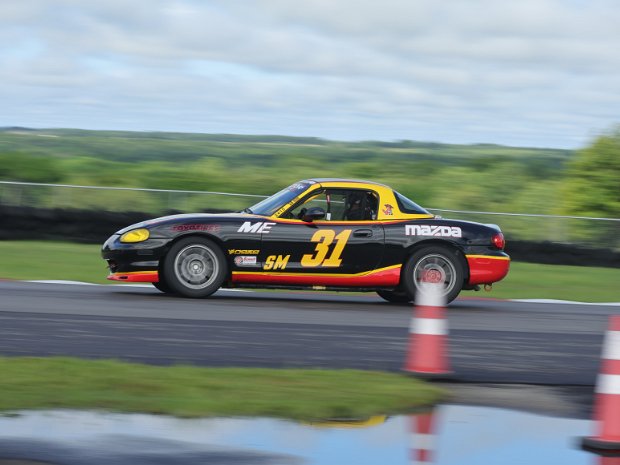 31 Blk Yellow